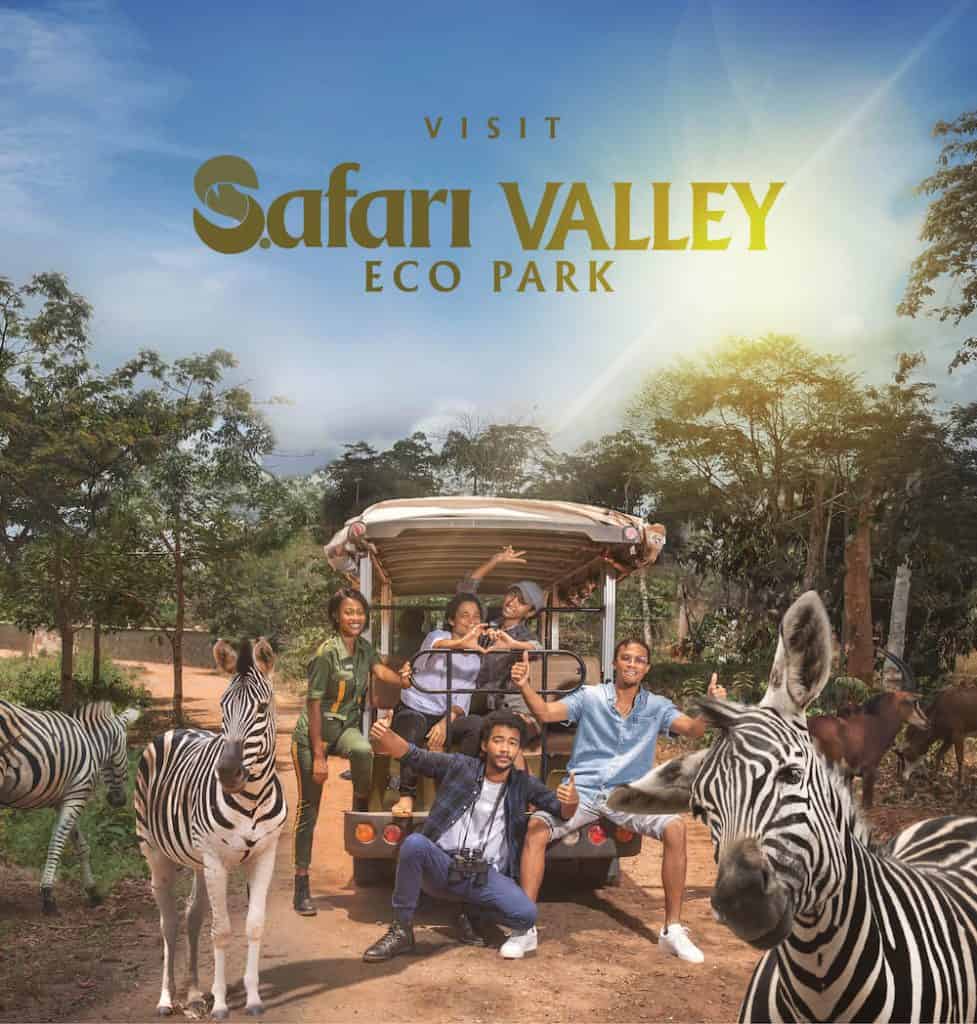 safari valley eco park price