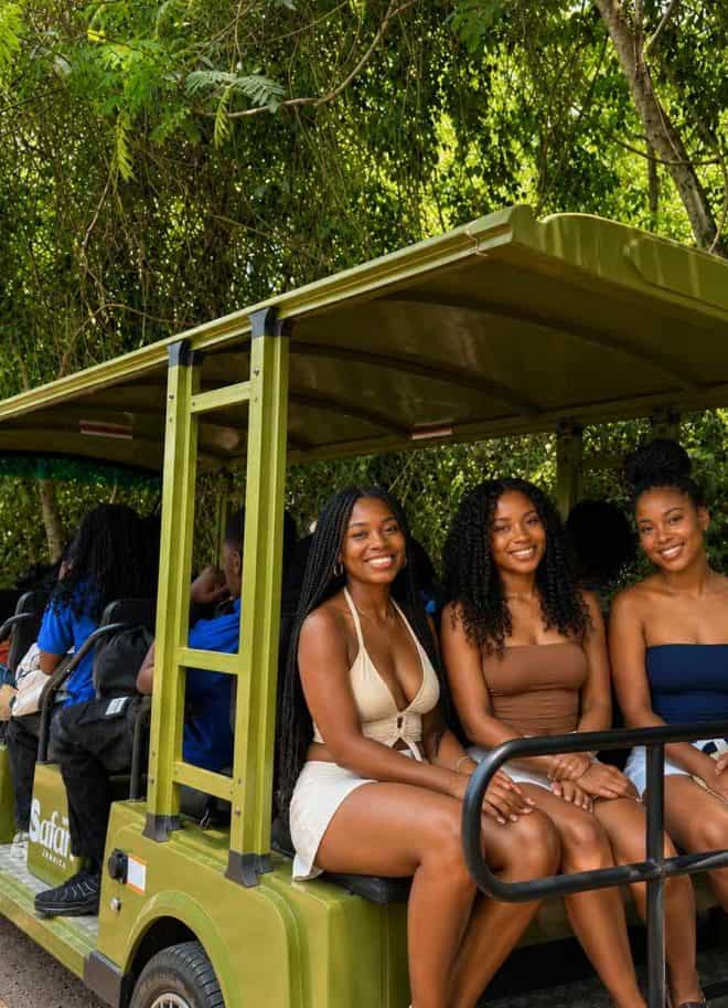 Golf Cart Rides